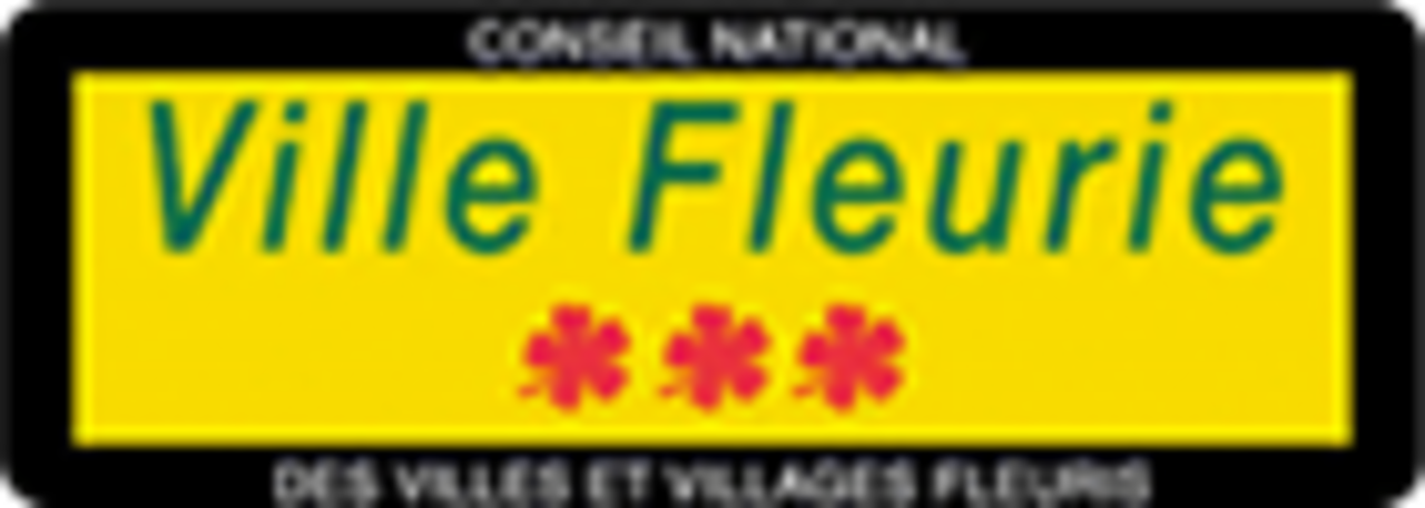 Ville fleurie
