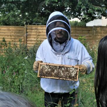 Atelier apiculture 