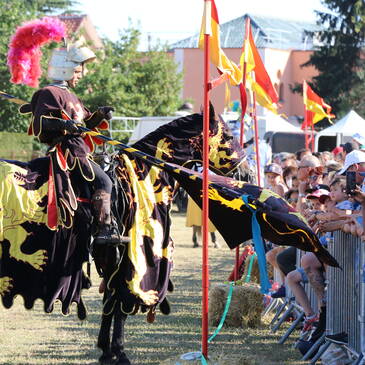 Spectacle équestre 