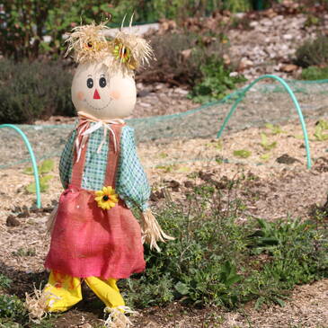 Fête du Printemps de la Ferme pédagogique 