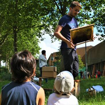 Atelier apiculture 