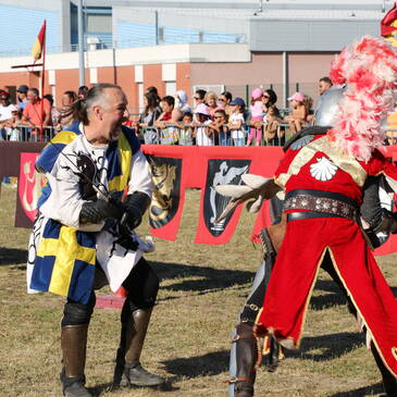 Spectacle équestre 