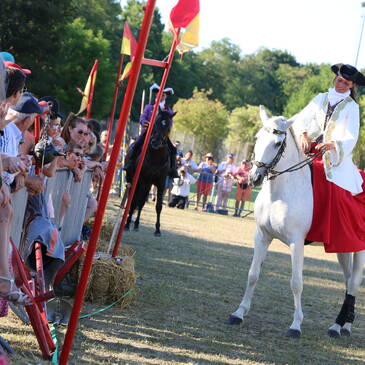 Spectacle équestre 
